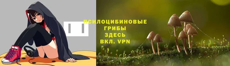 как найти закладки  гидра ссылки  Галлюциногенные грибы ЛСД  Электрогорск 